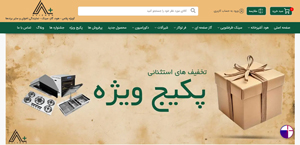 avizheh plus's website programmer