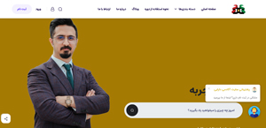 daniyaldaraei's website programmer