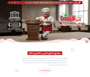 programmer of Golha Food's website