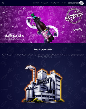 programmer of Sina Food Industry's website